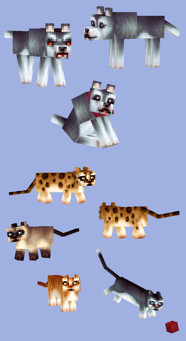 Sweet little pets!